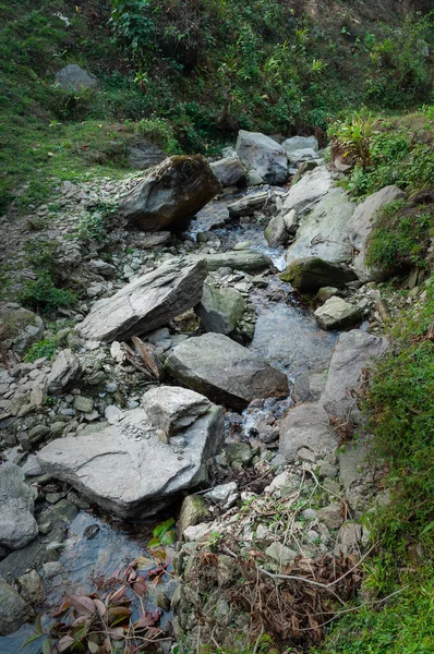 Agua Que Fluye Través Piedras Hermosa Cascada Dentro Del Bosque — Foto de Stock