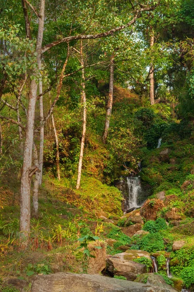 ヒマラヤの森 シッキム州 インド内の美しい滝 シキム州には多くの風光明媚な滝があり これらの滝は非常に人気のある観光名所です — ストック写真
