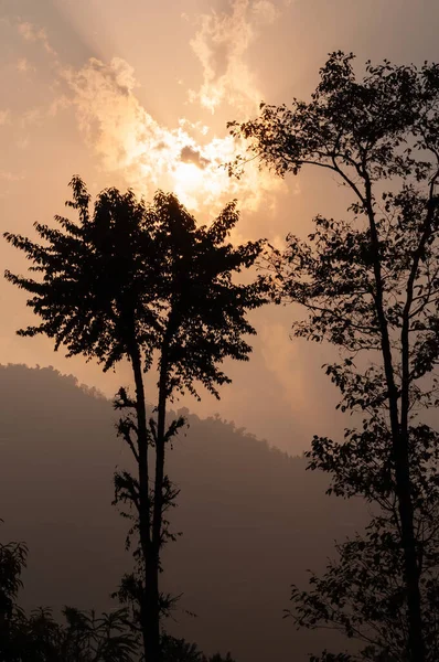 Sonnenuntergang Hinter Bäumen Und Himalaya Bergen Hintergrund Mit Buntem Himmel — Stockfoto