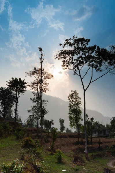 Puesta Sol Detrás Los Árboles Las Montañas Del Himalaya Fondo —  Fotos de Stock