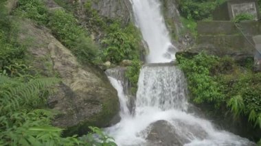 Kurseong 'da güzel Paglajhora şelalesi Darjeeling' deki Himalaya dağları, Batı Bengal, Hindistan. Mahananda Nehri 'nin kaynağı Mahananda Vahşi Yaşam Sığınağı, Siliguri ve Jalpaiguri' den akıyor. 4K.