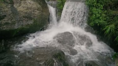 Kurseong 'da güzel Paglajhora şelalesi Darjeeling' deki Himalaya dağları, Batı Bengal, Hindistan. Mahananda Nehri 'nin kaynağı Mahananda Vahşi Yaşam Sığınağı, Siliguri ve Jalpaiguri' den akıyor. 4K.