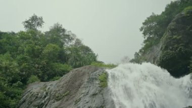 Kurseong 'da güzel Paglajhora şelalesi Darjeeling' deki Himalaya dağları, Batı Bengal, Hindistan. Mahananda Nehri 'nin kaynağı Mahananda Vahşi Yaşam Sığınağı, Siliguri ve Jalpaiguri' den akıyor. 4K.