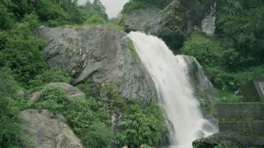 Kurseong 'da güzel Paglajhora şelalesi Darjeeling' deki Himalaya dağları, Batı Bengal, Hindistan. Mahananda Nehri 'nin kaynağı Mahananda Vahşi Yaşam Sığınağı, Siliguri ve Jalpaiguri' den akıyor. 4K.