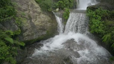 Hindistan, Darjeeling 'deki Himalaya dağları, Kurseong' daki Paglajhora şelalesinin yavaş hareketi. Mahananda Nehri 'nin kaynağı Mahananda Vahşi Yaşam Sığınağı, Siliguri ve Jalpaiguri' den akıyor..