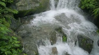 Hindistan, Darjeeling 'deki Himalaya dağları, Kurseong' daki Paglajhora şelalesinin yavaş hareketi. Mahananda Nehri 'nin kaynağı Mahananda Vahşi Yaşam Sığınağı, Siliguri ve Jalpaiguri' den akıyor..