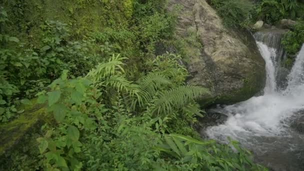 Långsam Rörelse Paglajhora Vattenfall Kurseong Himalaya Bergen Darjeeling Västbengalen Indien — Stockvideo