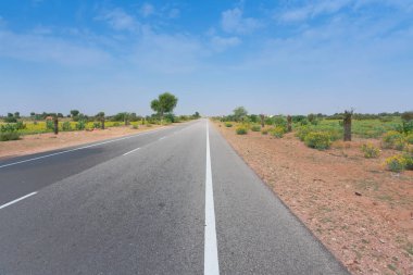 Hardal tohumu tarlasıyla Thar Çölü 'nden geçen boş beton yol. Ayrıca Jodhpur şehri yakınlarında mavi gökyüzü arka planına sahip Thar Çölü' nde, Rajasthan, Hindistan..