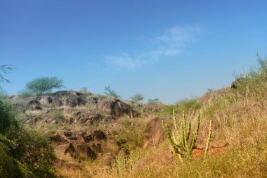 Rao Jodha Desert Rock Parkı, Jodhpur, Rajasthan, Hindistan 'ın kaynaklı, devasa volkanik pembe kayaları. Tarihi Mehrangarh Kalesi yakınlarında, park ekolojik olarak yenilenmiş çöl ve kara bitkileri barındırıyor..