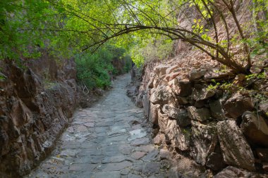 Hathi nahar, Fil deresi veya Rainwater deresi yağmur suyunu Ranisar ve Mehrangarh Kalesi 'nin Padasar göllerine, Rao Jodha Çöl Rock Parkı, Jodhpur, Rajasthan, Hindistan.