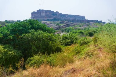 View of Mehrangarh fort from Rao Jodha desert rock park, Jodhpur, India. Green vegetation in the foreground and Mehrangarh fort in the background, with rocky landscape of the desert park. clipart