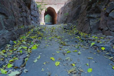 Dry leaves on Hathi nahar, Elephant gully or Rainwater gully to channel rainwater to Ranisar and Padamsar lakes of Mehrangarh fort, at Rao Jodha Desert Rock Park, Jodhpur, Rajasthan, India. clipart