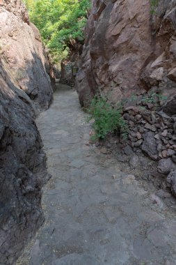 Rao Jodha Çöl Rock Parkı, Jodhpur, Rajasthan, Hindistan 'daki Ranisar ve Padasar göllerine yağmur suyu kanalları açmak için Hathi nahar, Fil deresi ya da Rainwater vadisinin doğal yolu..