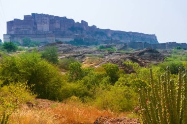 Rao Jodha çölündeki Jodhpur, Hindistan 'dan Mehrangarh kalesinin manzarası. Ön planda yalnız bir kaktüs ve arka planda Mehrangarh kalesi ve çöl parkının kayalık manzarası..