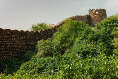 Rao Jodha Desert Rock Parkı 'nın taş duvarı, Jodhpur, Rajasthan, Hindistan. Tarihi Mehrangarh Kalesi yakınlarında, ekolojik açıdan restore edilmiş çöl ve turistik bir yer olan kurak arazi bitkisi yer alıyor..