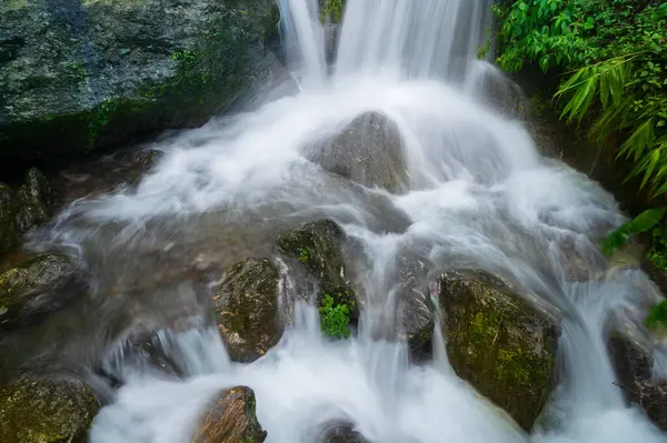 stock image Beautiful Paglajhora waterfall on Kurseong, Himalayan mountains of Darjeeling, West Bengal, India. Origin of Mahananda River flowing through Mahananda Wildlife Sanctuary, Siliguri and Jalpaiguri.