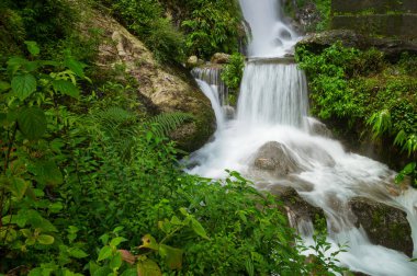 Paglajhora şelalesi, musonda ünlü şelale, Kurseong, Himalaya dağlarında Darjeeling, Batı Bengal, Hindistan. Mahananda Nehri 'nin kaynağı Mahananda Vahşi Yaşam Sığınağı' ndan akıyor..