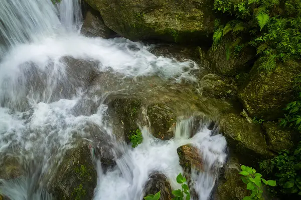 stock image Beautiful Paglajhora waterfall on Kurseong, Himalayan mountains of Darjeeling, West Bengal, India. Origin of Mahananda River flowing through Mahananda Wildlife Sanctuary, Siliguri and Jalpaiguri.