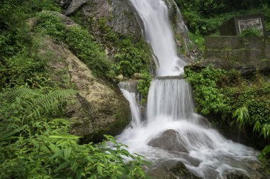 Kurseong 'da güzel Paglajhora şelalesi Darjeeling' deki Himalaya dağları, Batı Bengal, Hindistan. Mahananda Nehri 'nin kaynağı Mahananda Vahşi Yaşam Sığınağı, Siliguri ve Jalpaiguri' den akıyor..