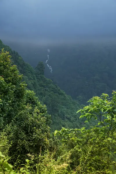 Himalaya dağları ve yemyeşil orman. Darjeeling, Batı Bengal, Hindistan 'da musonun doğal güzelliği. Arka plandaki şelale dağ yamacında..