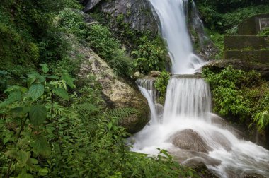 Kurseong 'da güzel Paglajhora şelalesi Darjeeling' deki Himalaya dağları, Batı Bengal, Hindistan. Mahananda Nehri 'nin kaynağı Mahananda Vahşi Yaşam Sığınağı, Siliguri ve Jalpaiguri' den akıyor..