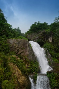 Beautiful Paglajhora waterfall on Kurseong, Himalayan mountains of Darjeeling, West Bengal, India. Origin of Mahananda River flowing through Mahananda Wildlife Sanctuary, Siliguri and Jalpaiguri. clipart