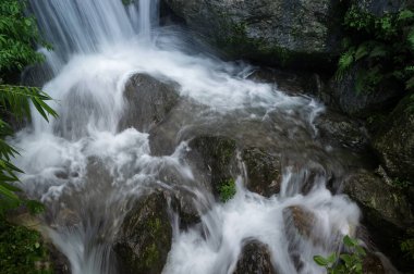 Paglajhora waterfall , famous waterfall in monsoon, at Kurseong, Himalayan mountains of Darjeeling, West Bengal, India. Origin of Mahananda River flowing through Mahananda Wildlife Sanctuary. clipart