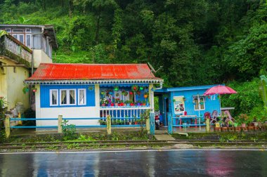 Darjeeling, Batı Bengal, Hindistan - 10 Ağustos 2023: Güzel renkli köy ve Himalaya dağlarından geçen beton yol, yemyeşil orman. Darjeeling 'de musonun doğal güzelliği.