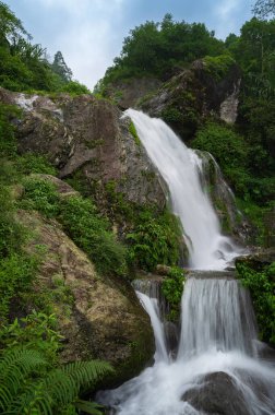 Paglajhora waterfall , famous waterfall in monsoon, at Kurseong, Himalayan mountains of Darjeeling, West Bengal, India. Origin of Mahananda River flowing through Mahananda Wildlife Sanctuary. clipart