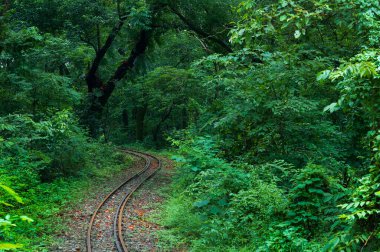 Oyuncak tren hattı, Himalaya ormanından geçen dar tren hattı. Darjeeling Himalaya Demiryolu, Yeni Jalpaiguri ve Darjeeling arasındaki dar ölçü demiryolu.