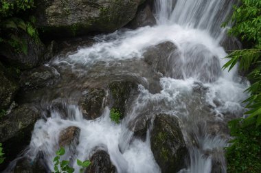 Beautiful Paglajhora waterfall on Kurseong, Himalayan mountains of Darjeeling, West Bengal, India. Origin of Mahananda River flowing through Mahananda Wildlife Sanctuary, Siliguri and Jalpaiguri. clipart