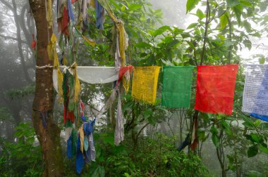 Darjeeling, Batı Bengal, Hindistan-11.08.2023: Ormandaki merdivenlerde bayraklar, Mahakal Tapınağı veya Mahakal Mandir yolu, Hindu dinlerinin bir karışımı olan Shiva 'ya adanmış Hindu tapınağı..