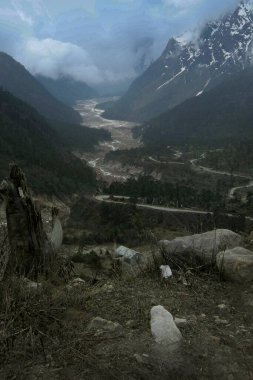 Yumthang Vadisi 'nden akan Lachung Nehri ya da Hindistan' ın kuzeyinde Himalaya Dağları 'ndaki Çiçek Tapınağı Sikkim Vadisi. Shingba Rhododendron Sığınağı 'nın evi olarak da bilinir.,