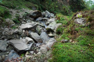 Taşlardan akan su, Himalaya ormanlarındaki güzel şelale, Sikkim, Hindistan. Sikkim 'in eyalet boyunca akan birçok manzaralı şelalesi var ve bu şelaleler çok popüler turistik yerler..