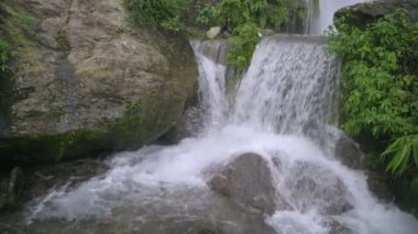 Kurseong 'da güzel Paglajhora şelalesi Darjeeling' deki Himalaya dağları, Batı Bengal, Hindistan. Mahananda Nehri 'nin kaynağı Mahananda Vahşi Yaşam Sığınağı, Siliguri ve Jalpaiguri' den akıyor. 4K.