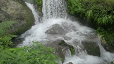 Hindistan, Darjeeling 'deki Himalaya dağları, Kurseong' daki Paglajhora şelalesinin yavaş hareketi. Mahananda Nehri 'nin kaynağı Mahananda Vahşi Yaşam Sığınağı, Siliguri ve Jalpaiguri' den akıyor..