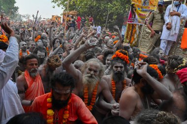 Haridwar, Uttarakhand, Hindistan - 13 Nisan 2021: Hindu çıplak sadhus, naga babas, naga sanyasis Ganj nehrinde shahi snaan yemek ve Har Har Mahadev diye bağırmak için koşuyor. Kumbhmela olayı.