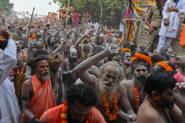 Haridwar, Uttarakhand, Hindistan - 13 Nisan 2021: Hindu çıplak sadhus, naga babas, naga sanyasis Ganj nehrinde shahi snaan yemek ve Har Har Mahadev diye bağırmak için koşuyor. Kumbhmela olayı.
