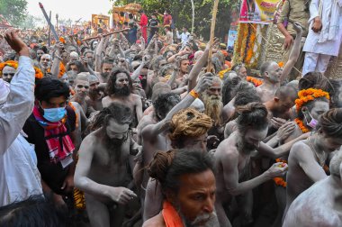 Haridwar, Uttarakhand, Hindistan - 13 Nisan 2021: Hindu çıplak sadhus, naga babas, naga sanyasis Ganj nehrinde shahi snaan yemek ve Har Har Mahadev diye bağırmak için koşuyor. Kumbhmela olayı.
