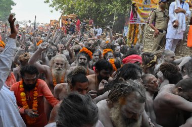 Haridwar, Uttarakhand, Hindistan - 13 Nisan 2021: Hindu çıplak sadhus, naga babas, naga sanyasis Ganj nehrinde shahi snaan yemek ve Har Har Mahadev diye bağırmak için koşuyor. Kumbhmela olayı.
