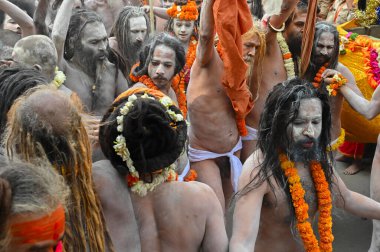 Haridwar, Uttarakhand, Hindistan - 13 Nisan 2021: Hindu çıplak sadhus, naga babas, naga sanyasis Ganj nehrinde shahi snaan yemek ve Har Har Mahadev diye bağırmak için koşuyor. Kumbhmela olayı.