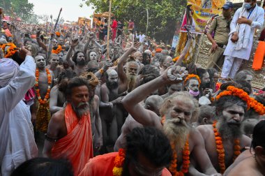 Haridwar, Uttarakhand, Hindistan - 13 Nisan 2021: Hindu çıplak sadhus, naga babas, naga sanyasis Ganj nehrinde shahi snaan yemek ve Har Har Mahadev diye bağırmak için koşuyor. Kumbhmela olayı.