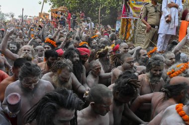 Haridwar, Uttarakhand, Hindistan - 13 Nisan 2021: Hindu çıplak sadhus, naga babas, naga sanyasis Ganj nehrinde shahi snaan yemek ve Har Har Mahadev diye bağırmak için koşuyor. Kumbhmela olayı.