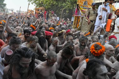Haridwar, Uttarakhand, Hindistan - 13 Nisan 2021: Hindu çıplak sadhus, naga babas, naga sanyasis Ganj nehrinde shahi snaan yemek ve Har Har Mahadev diye bağırmak için koşuyor. Kumbhmela olayı.