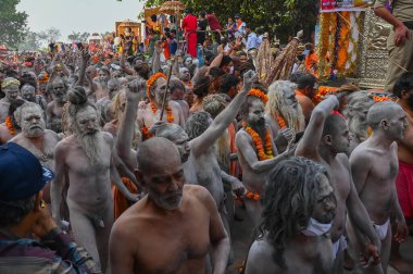 Haridwar, Uttarakhand, Hindistan - 13 Nisan 2021: Hindu çıplak sadhus, naga babas, naga sanyasis Ganj nehrinde shahi snaan yemek ve Har Har Mahadev diye bağırmak için koşuyor. Kumbhmela olayı.