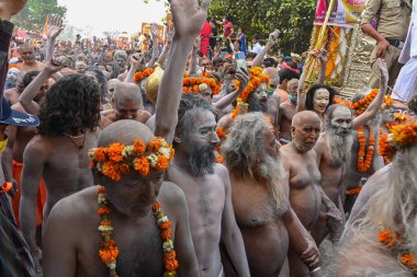 Haridwar, Uttarakhand, India - 13th April 2021 : Hindu naked sadhus, naga babas, naga sanyasis running for having shahi snaan on river Ganges and shouting Har Har Mahadev. Kumbhmela event. clipart