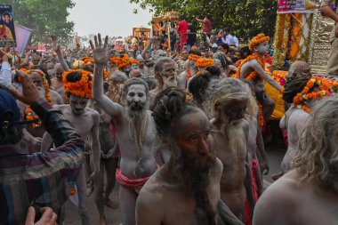 Haridwar, Uttarakhand, Hindistan - 13 Nisan 2021: Hindu çıplak sadhus, naga babas, naga sanyasis Ganj nehrinde shahi snaan yemek ve Har Har Mahadev diye bağırmak için koşuyor. Kumbhmela olayı.