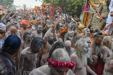 Haridwar, Uttarakhand, Hindistan - 13 Nisan 2021: Hindu çıplak sadhus, naga babas, naga sanyasis Ganj nehrinde shahi snaan yemek ve Har Har Mahadev diye bağırmak için koşuyor. Kumbhmela olayı.