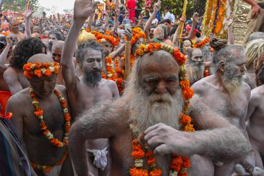 Haridwar, Uttarakhand, Hindistan - 13 Nisan 2021: Hindu çıplak sadhus, naga babas, naga sanyasis Ganj nehrinde shahi snaan yemek ve Har Har Mahadev diye bağırmak için koşuyor. Kumbhmela olayı.