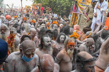 Haridwar, Uttarakhand, Hindistan - 13 Nisan 2021: Hindu çıplak sadhus, naga babas, naga sanyasis Ganj nehrinde shahi snaan yemek ve Har Har Mahadev diye bağırmak için koşuyor. Kumbhmela olayı.